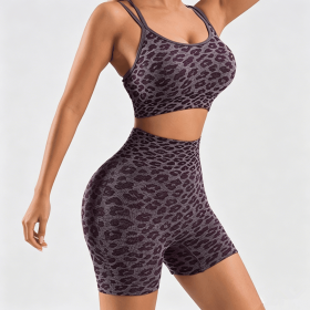 Women's Leopard Print Workout Sets 2 Piece Outfits Crop Tank Tops and Shorts Sports Yoga Gym Tracksuit (Color: Wine Red, size: S)
